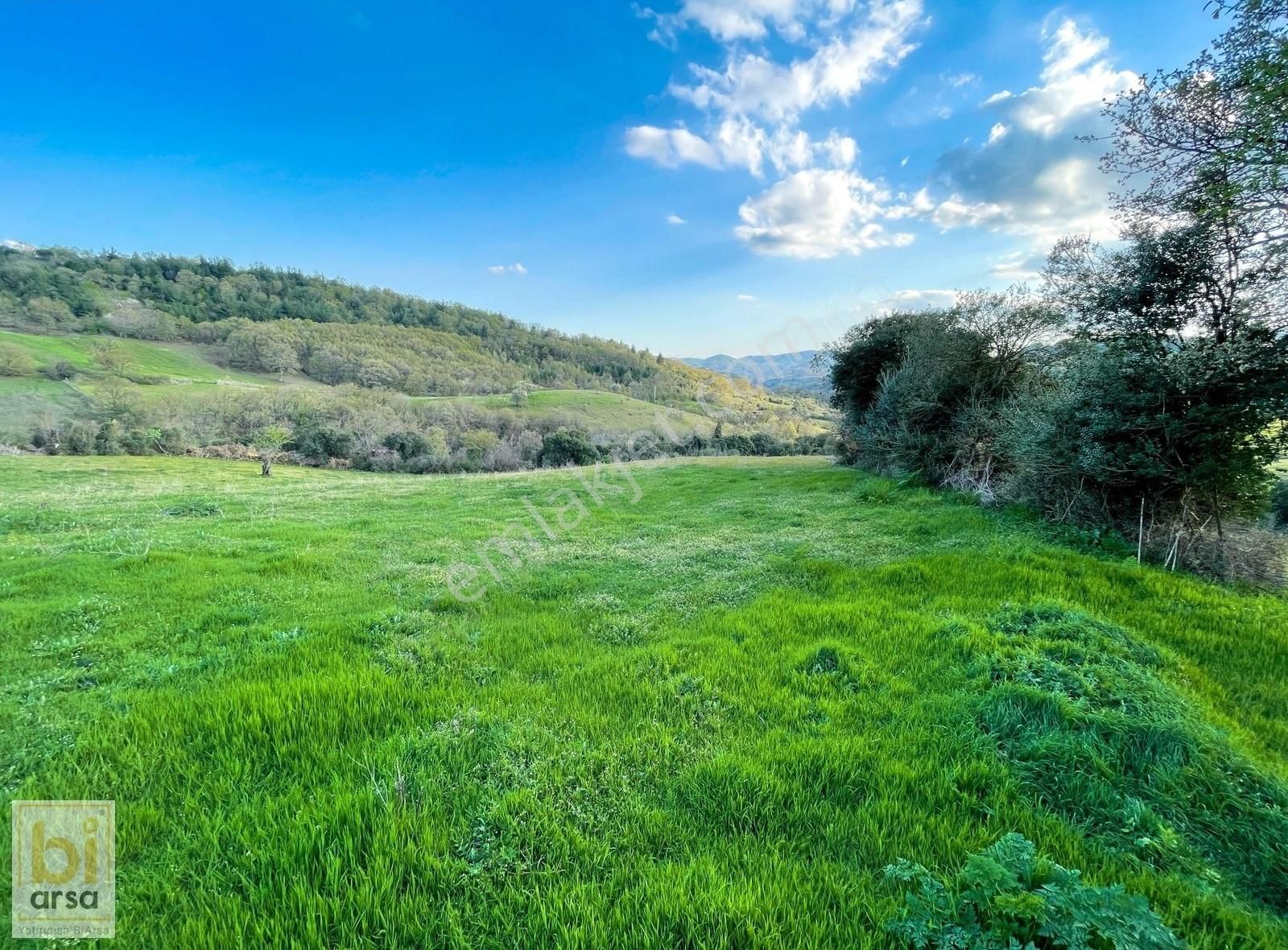 Biga Çömlekçi Köyünde 320 M² İmarlı Arsa - Görsel 13