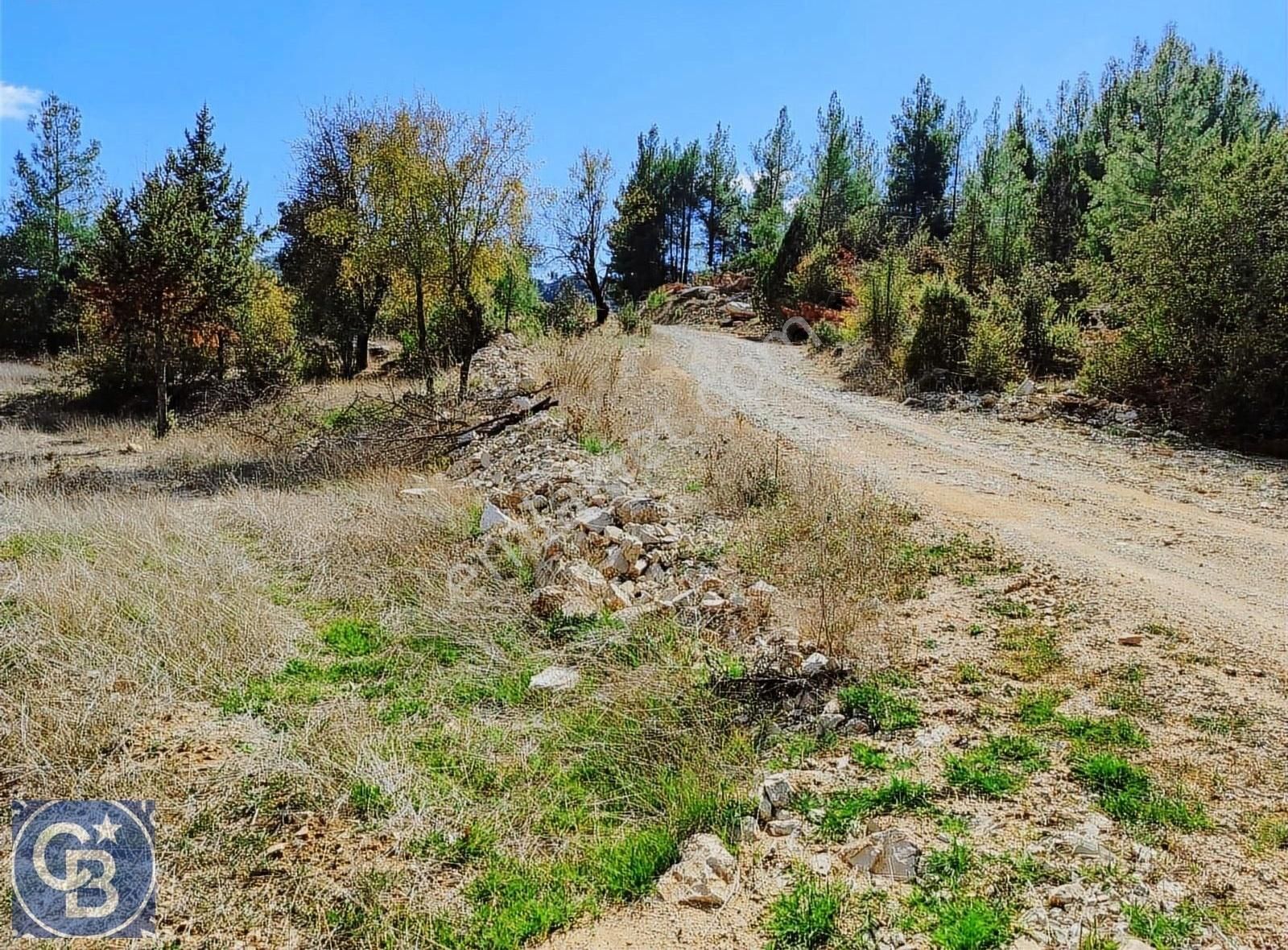 Akseki Bucakkışla Satılık Tarla Akseki Bucakkışlada Satılık Tarla