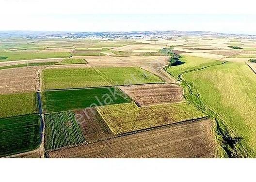 Silivri Gümüşyaka Satılık Tarla Silivri Gümüşyaka 5.500 M2