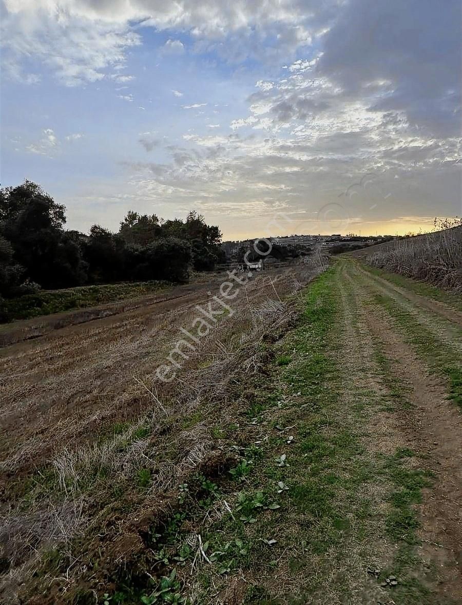 Silivri Kadıköy Satılık Tarla Kadıköyde Resmi Yola Cepe 1.288m2 Mantıklı Araç Takası Olur