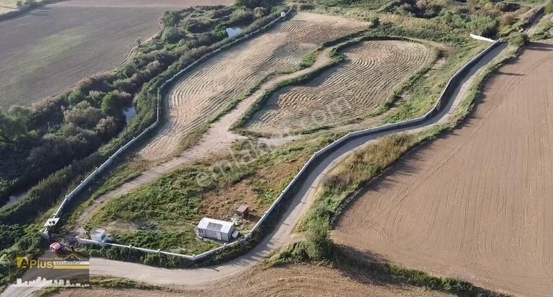 Tire Işıklar Satılık Tarla A Plus Gayrimenkulden Anayola Yakın 20.000 M2 Satılık Tarla