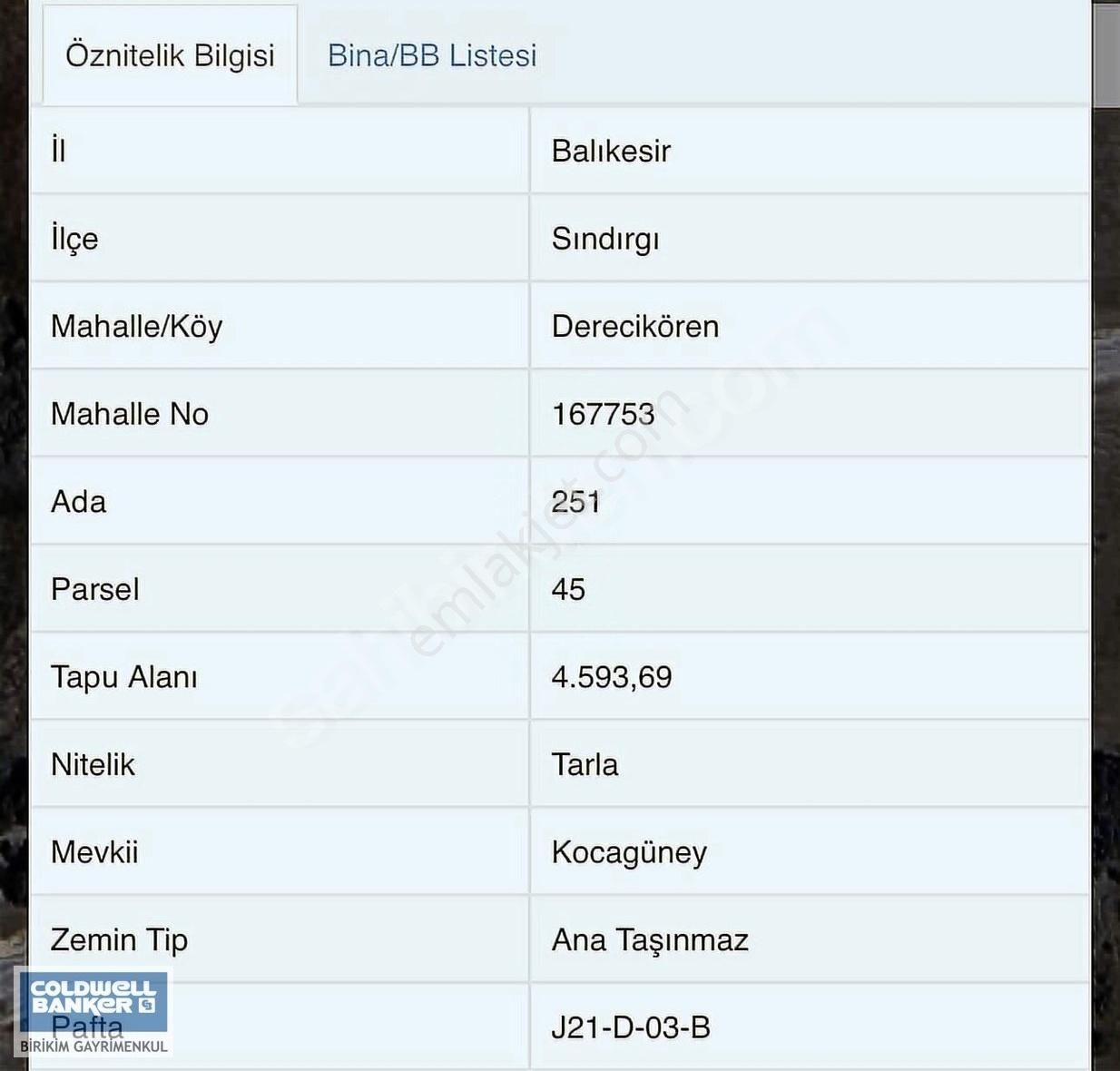 Sındırgı Derecikören Satılık Tarla Balıkesir Sındırgı Da 4600 M2 Tarla