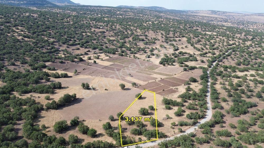 Meram Çukurçimen Satılık Tarla Meram Çukurçimende 3.137 M2 Müstakil Tapulu Tarla
