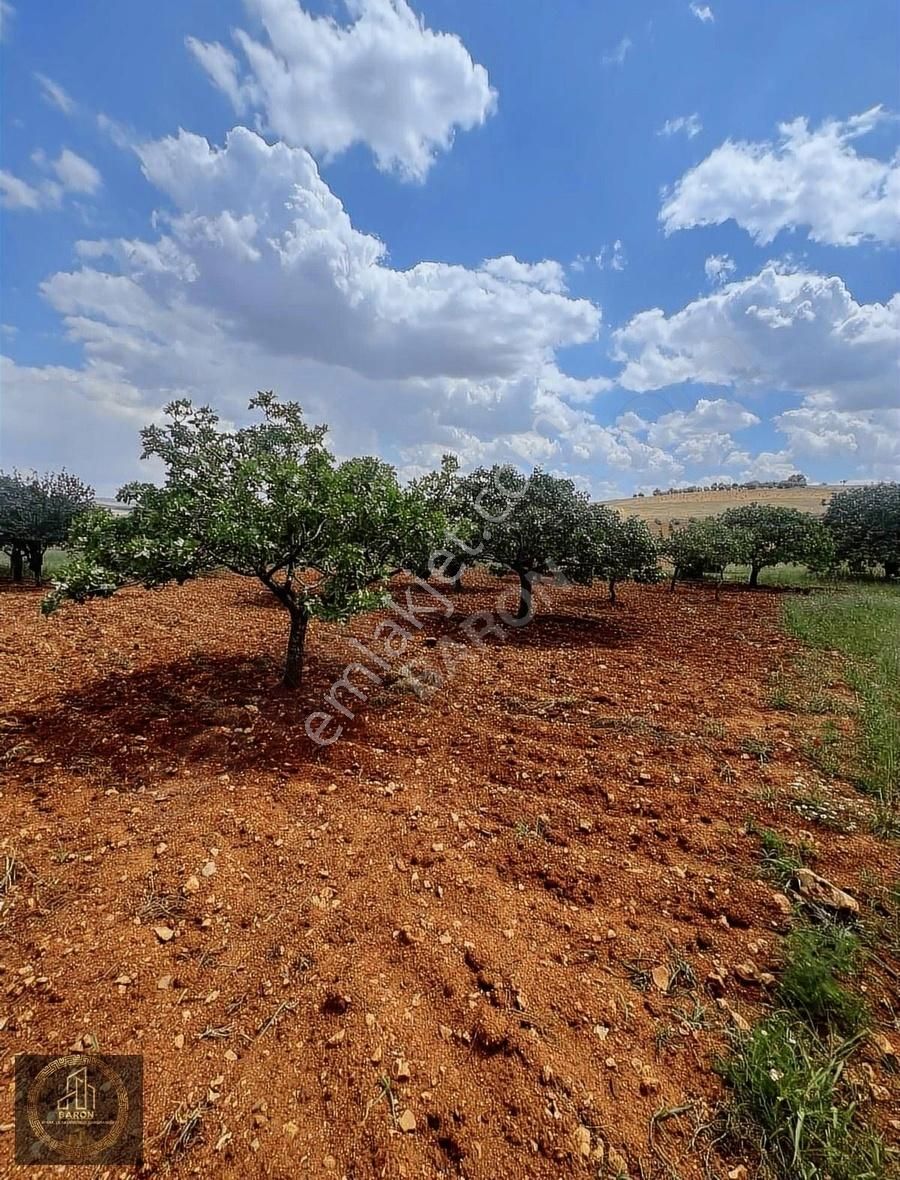 Şehitkamil Suboğaz Satılık Tarla Baron Dan Suboğazı İmar İçi 1200 M2