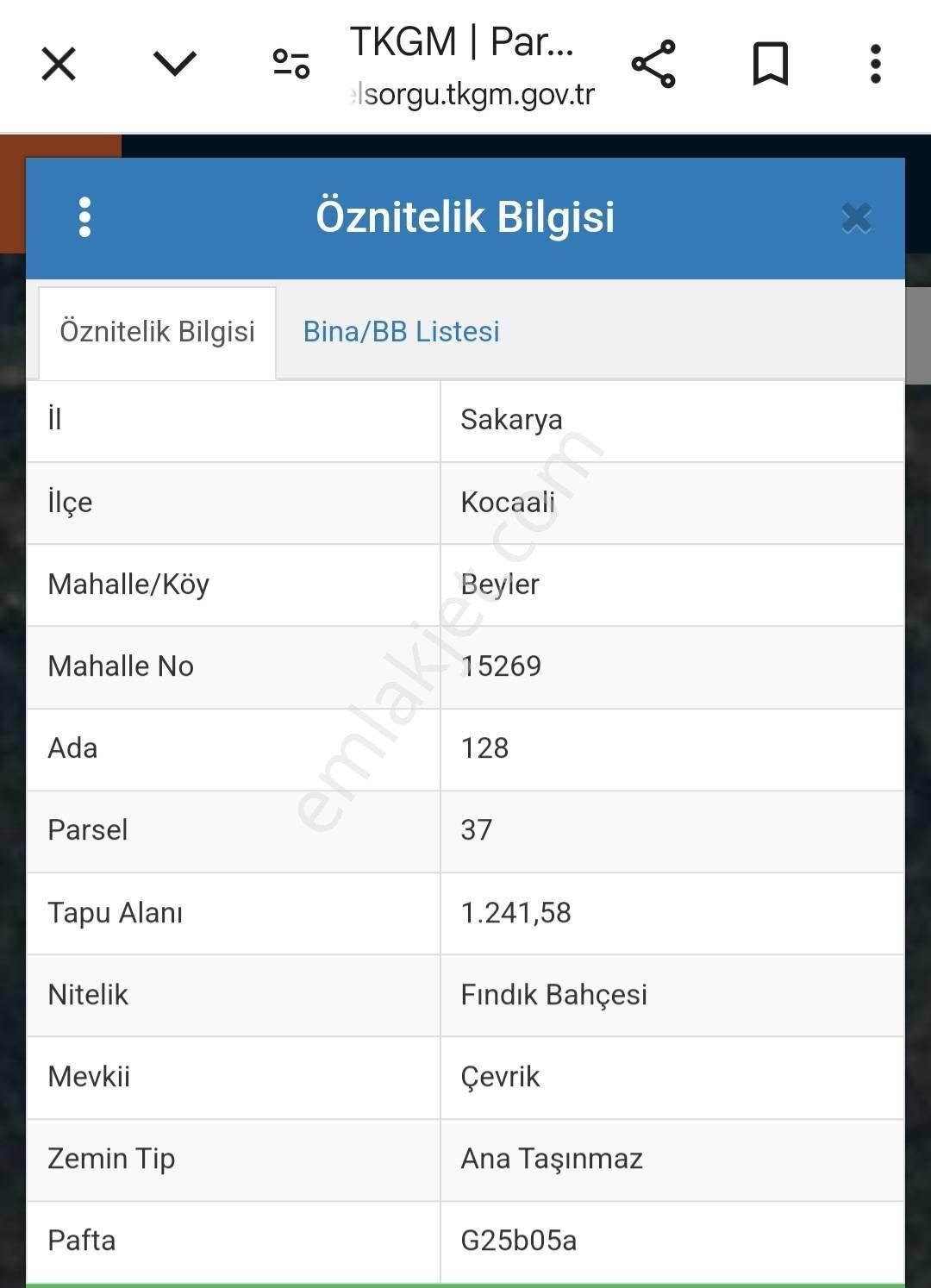 Kocaali Beyler Satılık Tarla Kocaali Beyler Köyü Satılık Fındık Bahçesi