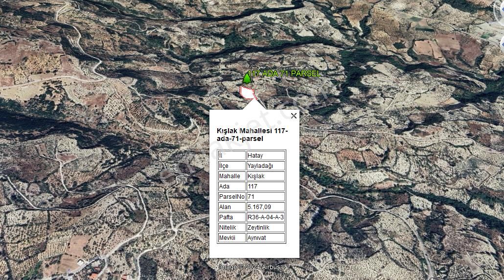 Yayladağı Kışlak Satılık Zeytinlik Hatay Yayladağı Kışlak’ta 5.167,06 M² Satılık Tarla-zeytinlik!!