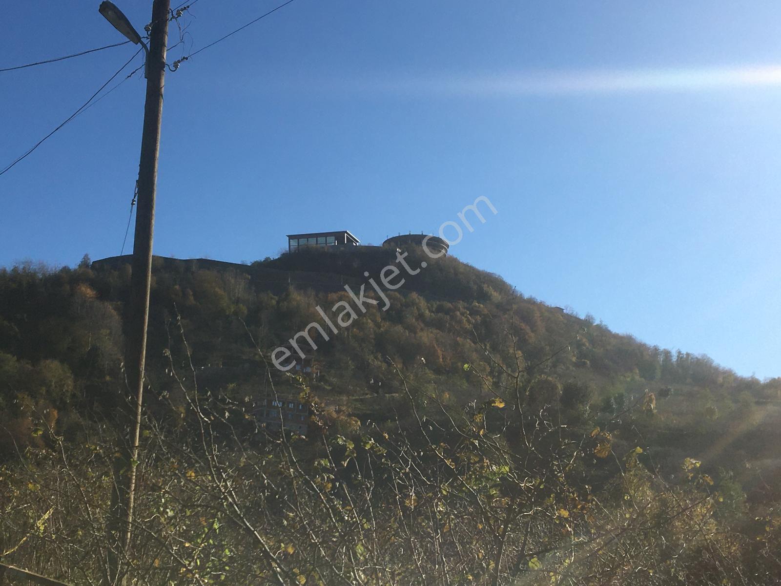 Bir Fırsat Daha Arazi Fındıklık - Görsel 14