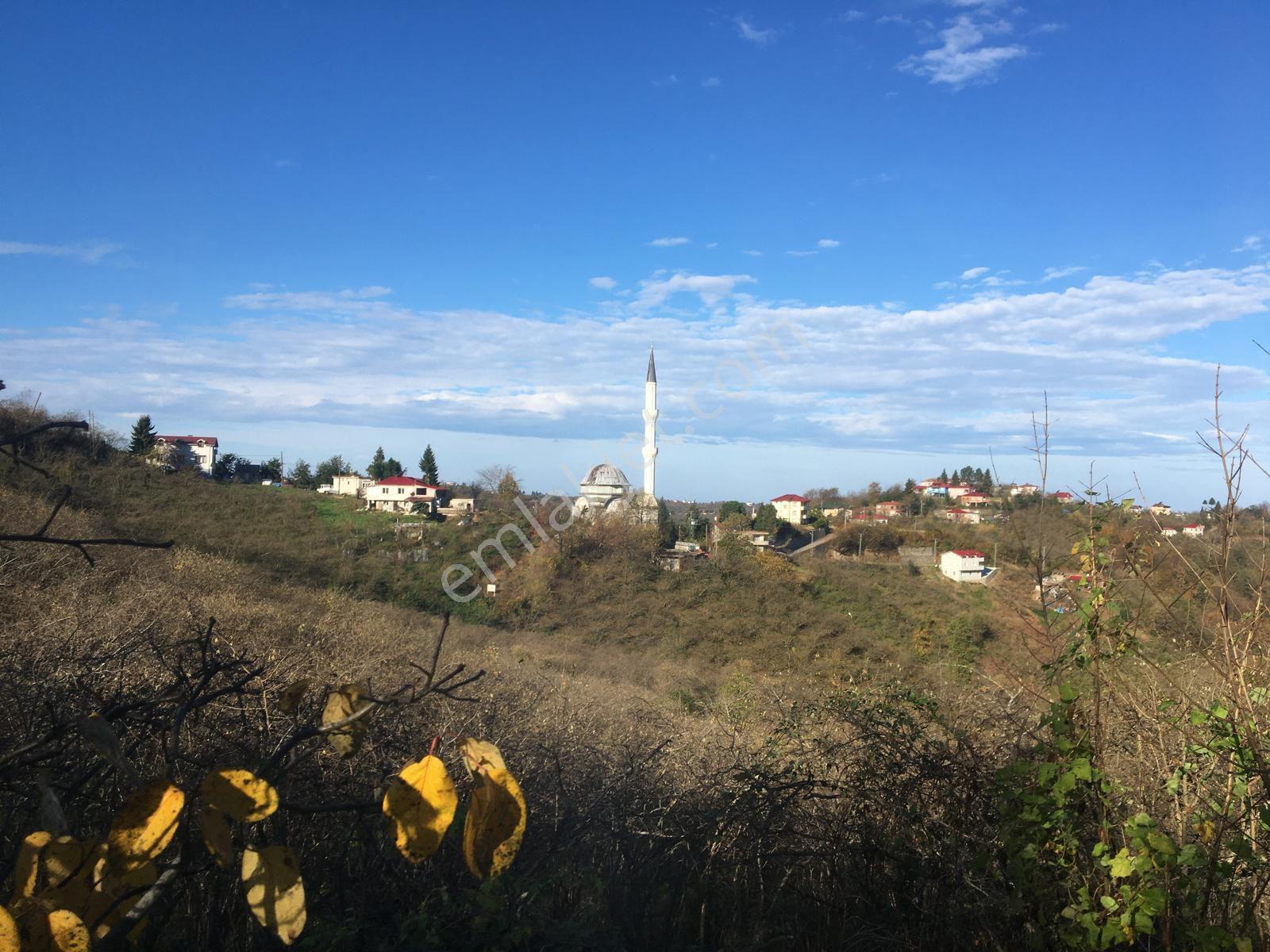 Bir Fırsat Daha Arazi Fındıklık - Görsel 4