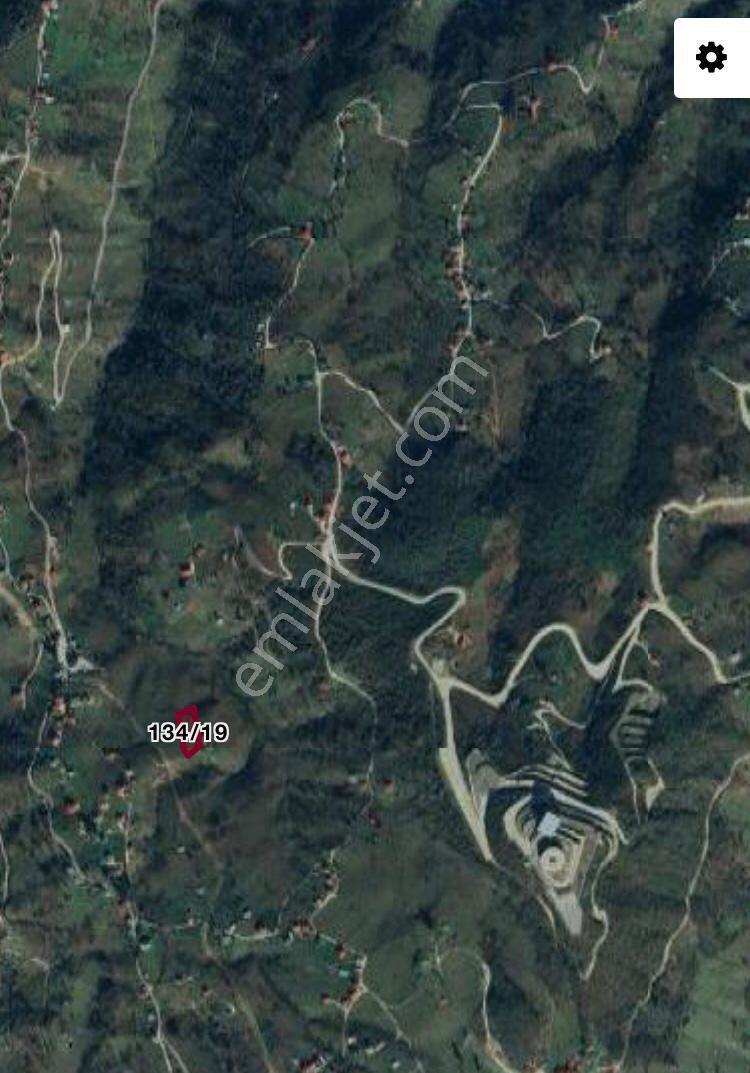 Bir Fırsat Daha Arazi Fındıklık - Görsel 17