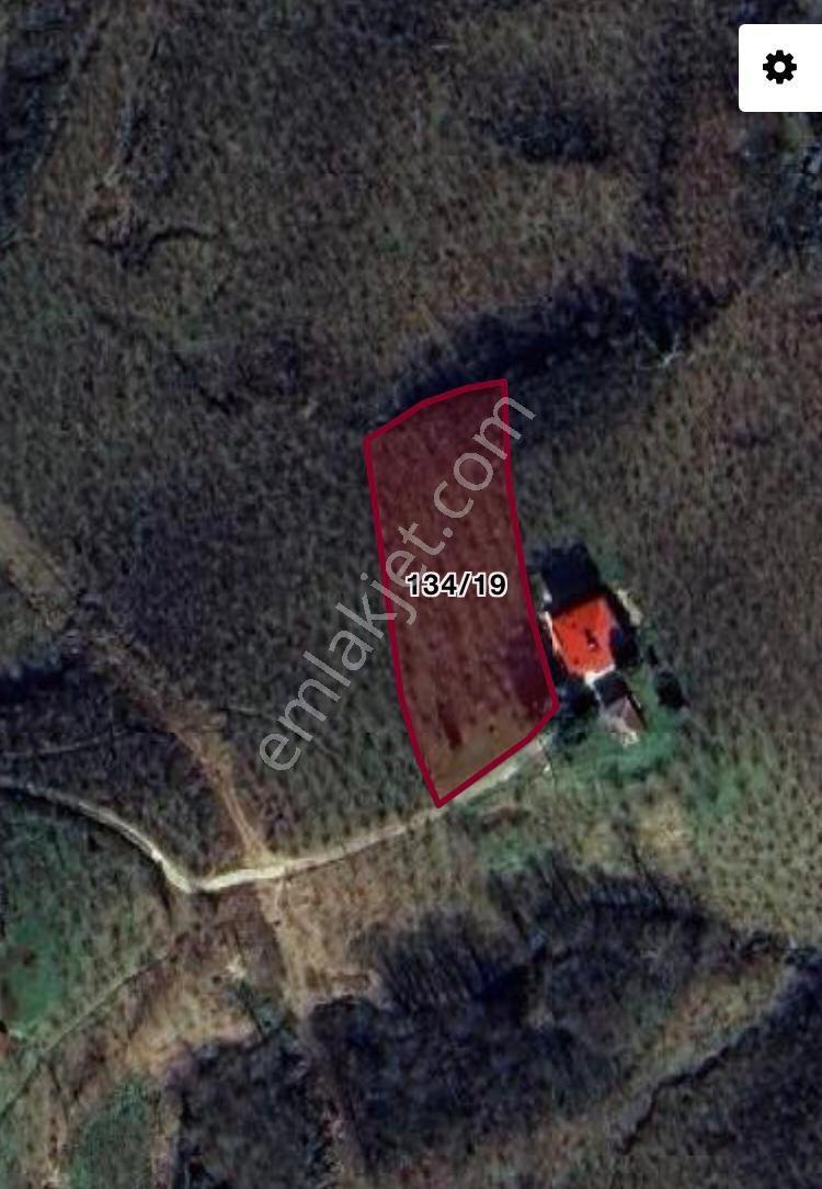 Bir Fırsat Daha Arazi Fındıklık - Görsel 18