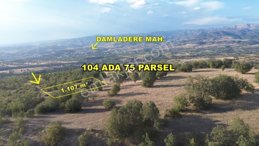 Hamamözü Damladere Köyü Satılık Tarla Amasya / Hamamözü / Damladere De 1.107 M² Müstakil Tarla