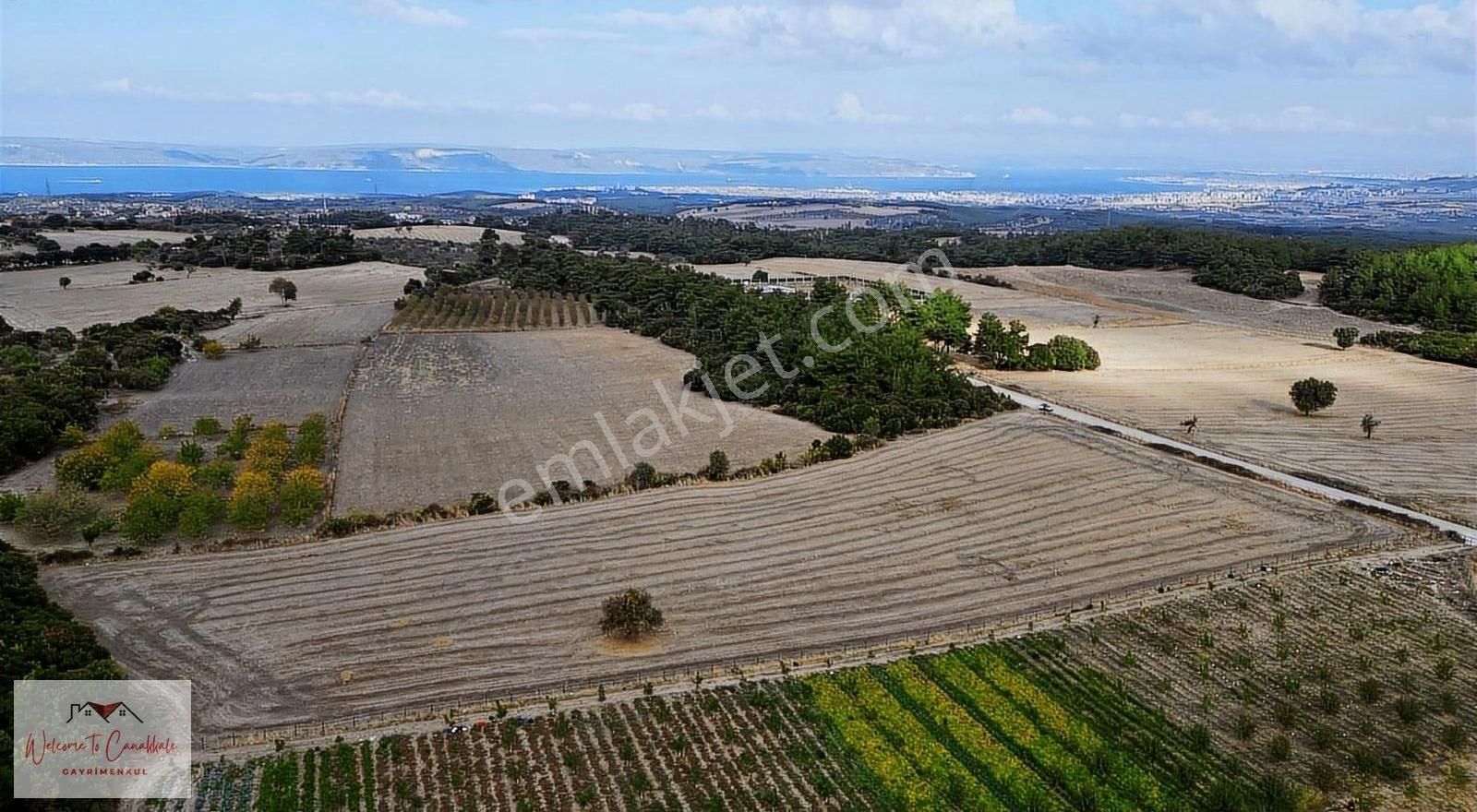 Çanakkale Merkez Çınarlı Köyü Satılık Tarla Çanakkale Merkez Çınarlı Satılık 15.719 M² Tarla Yola Cephe