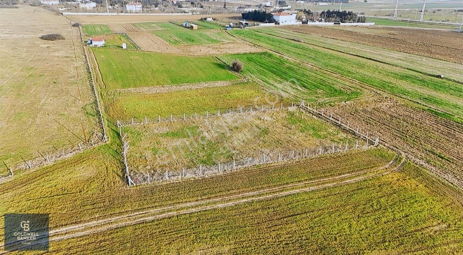 Çatalca İzzettin Satılık Tarla İzzettin De 1415 M2 Üniversite Projesinin Yanında