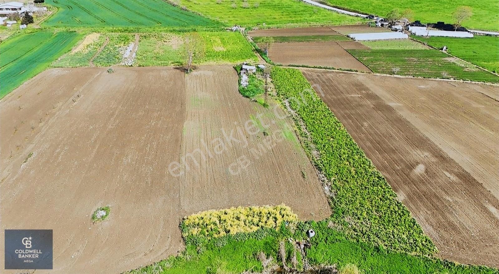 Çatalca Muratbey Merkez Satılık Depo, Antrepo İzinli Çatalca Muratbey'de Satılık Kupon Arsa