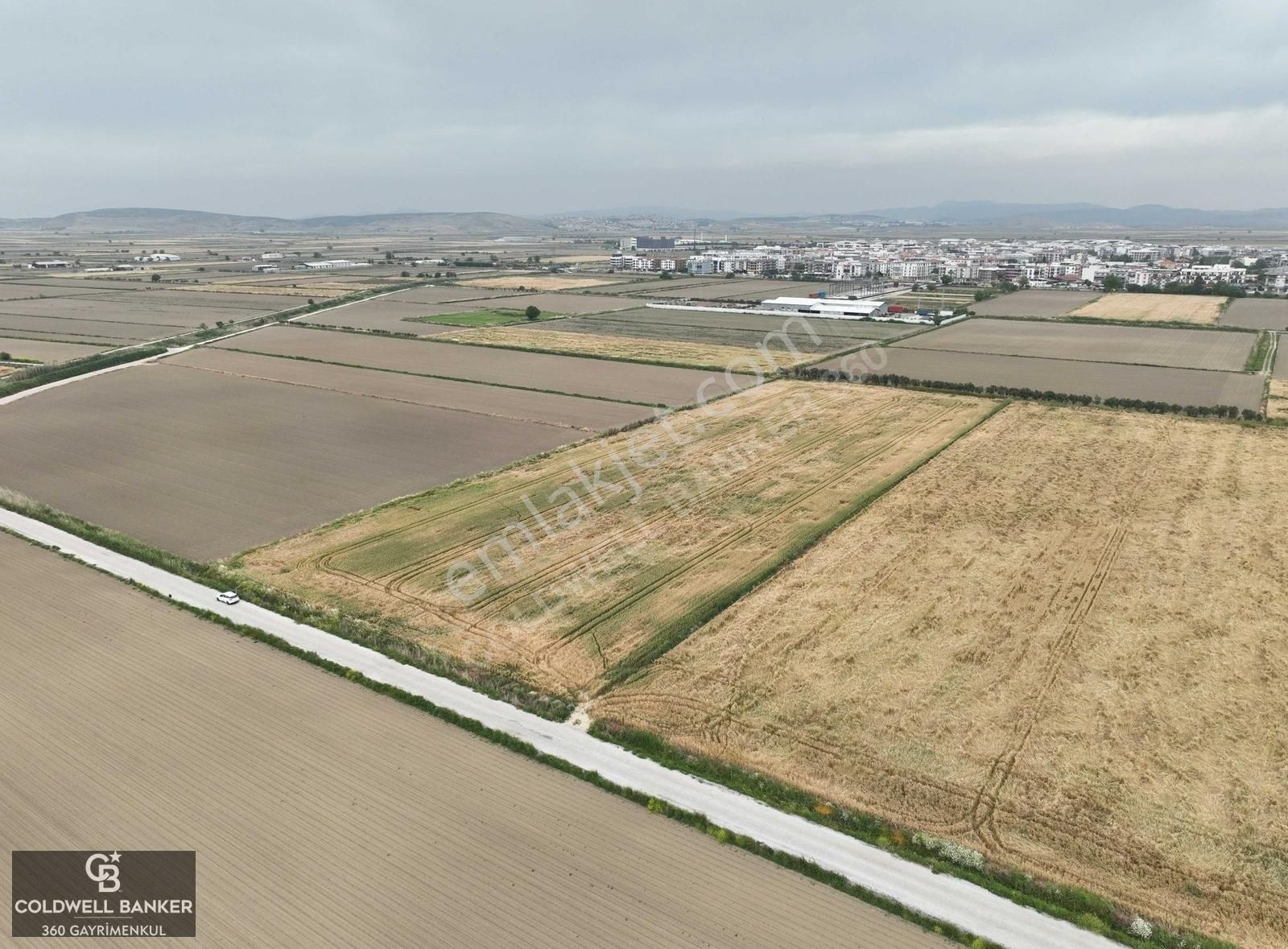 Menemen İnönü Satılık Tarla İzmir Menemen Seyrek' De Kadastral Yola Cepheli Satılık Tarla