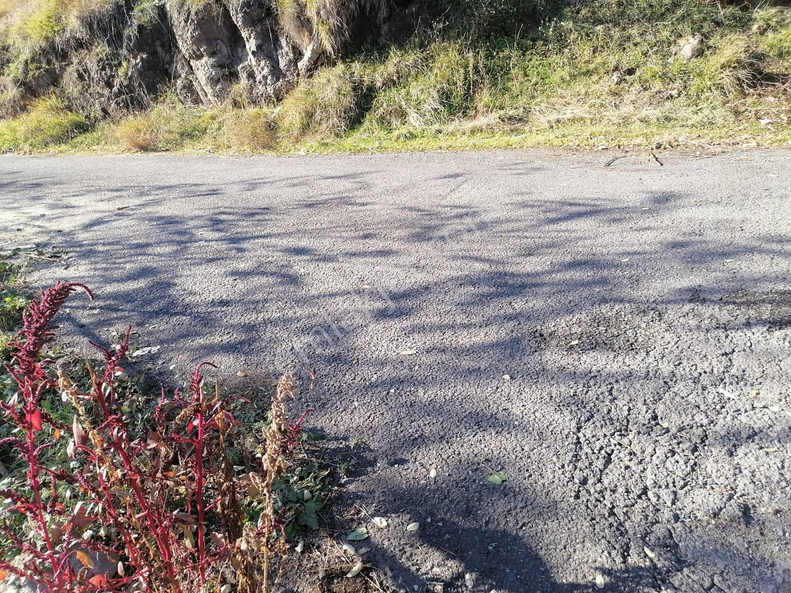 Öztürk Kardeşler Gayrimenkul'den Ortahisar Beştaş Mahallesinde Satılık 605 M2 Arsa - Görsel 2
