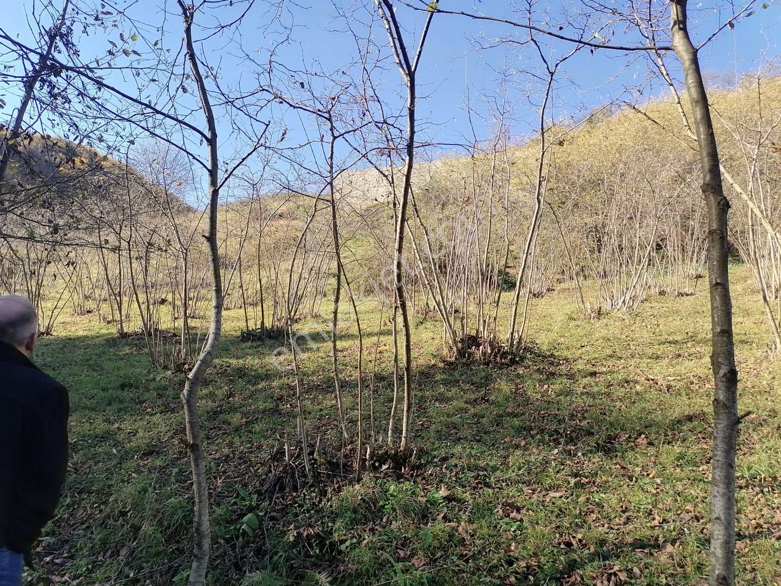 Öztürk Kardeşler Gayrimenkul'den Ortahisar Beştaş Mahallesinde Satılık 2782 M2 Arsa - Görsel 4