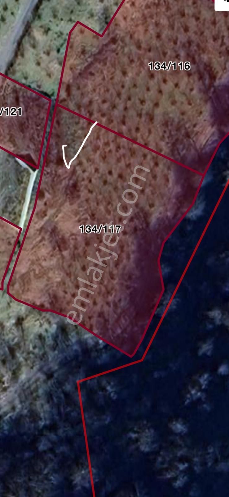 Öztürk Kardeşler Gayrimenkul'den Ortahisar Beştaş Mahallesinde Satılık 2782 M2 Arsa - Görsel 7