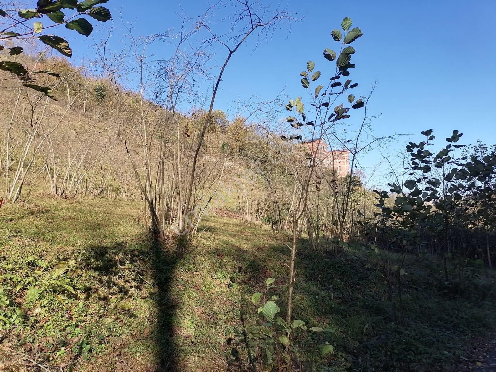 Öztürk Kardeşler Gayrimenkul'den Ortahisar Beştaş Mahallesinde Satılık 2790 M2 Arsa - Görsel 2