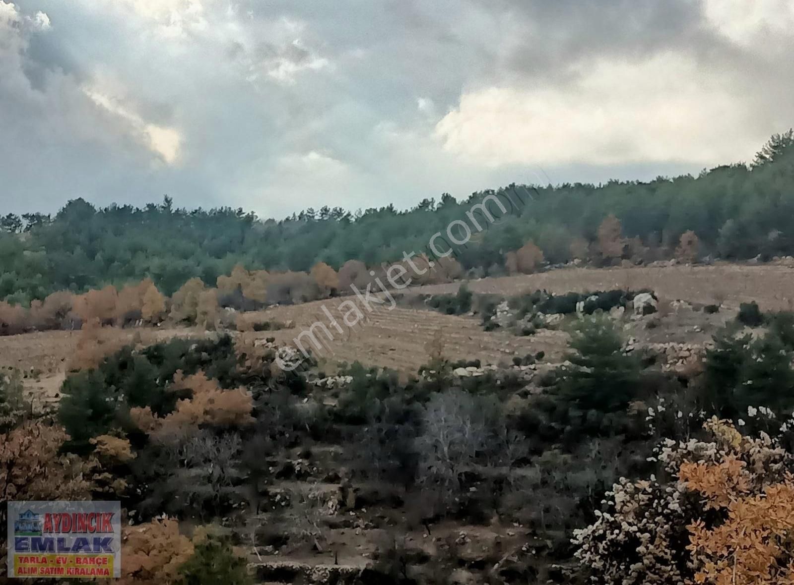Aydıncık Emlaktan Satılık Bağ Ve Tarla 40.435m2 - Görsel 25