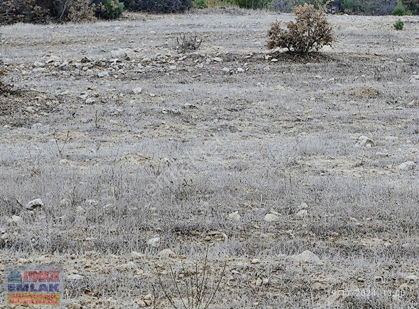 Aydıncık Emlaktan Satılık Bağ Ve Tarla 40.435m2 - Görsel 28
