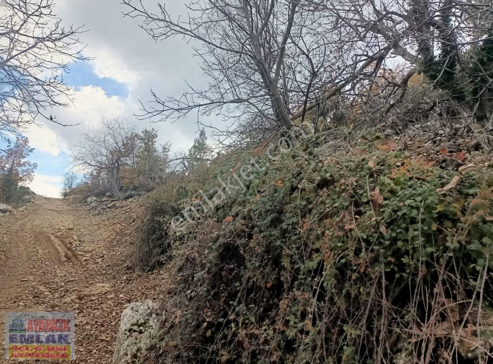 Aydıncık Emlaktan Satılık Bağ Ve Tarla 40.435m2 - Görsel 24