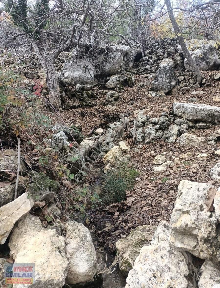 Aydıncık Emlaktan Satılık Bağ Ve Tarla 40.435m2 - Görsel 4