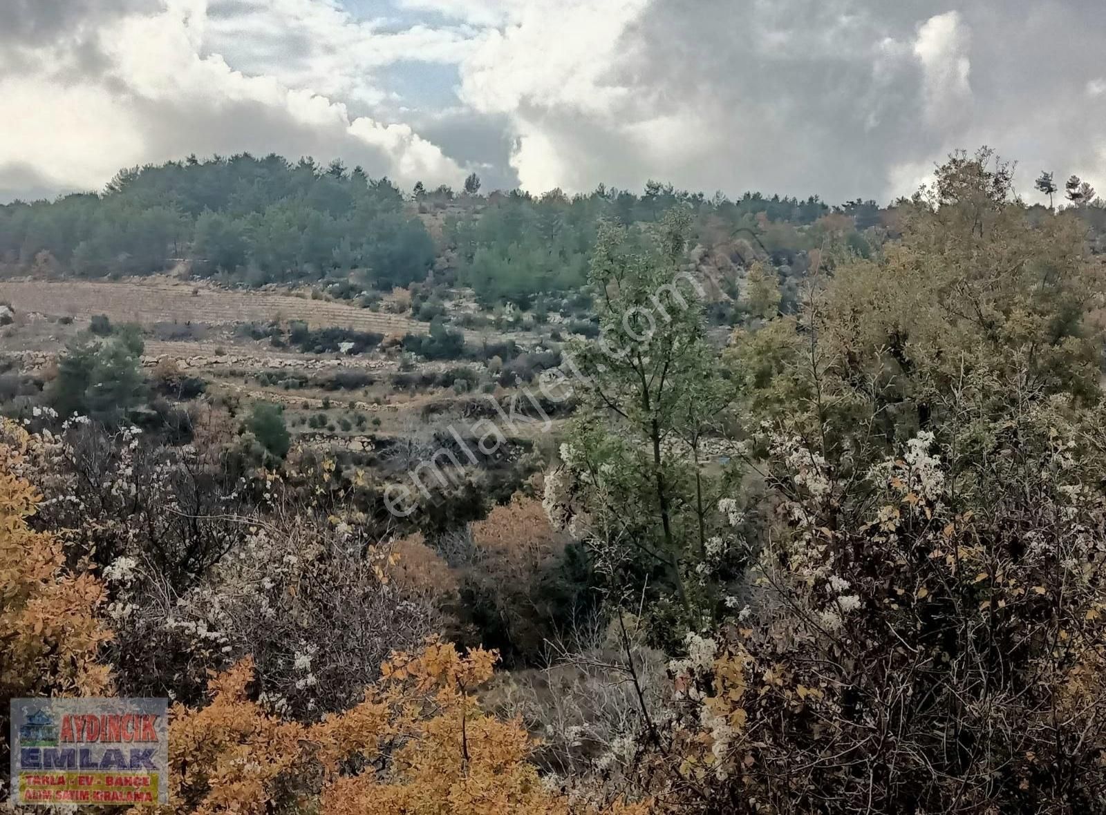 Aydıncık Emlaktan Satılık Bağ Ve Tarla 40.435m2 - Görsel 21