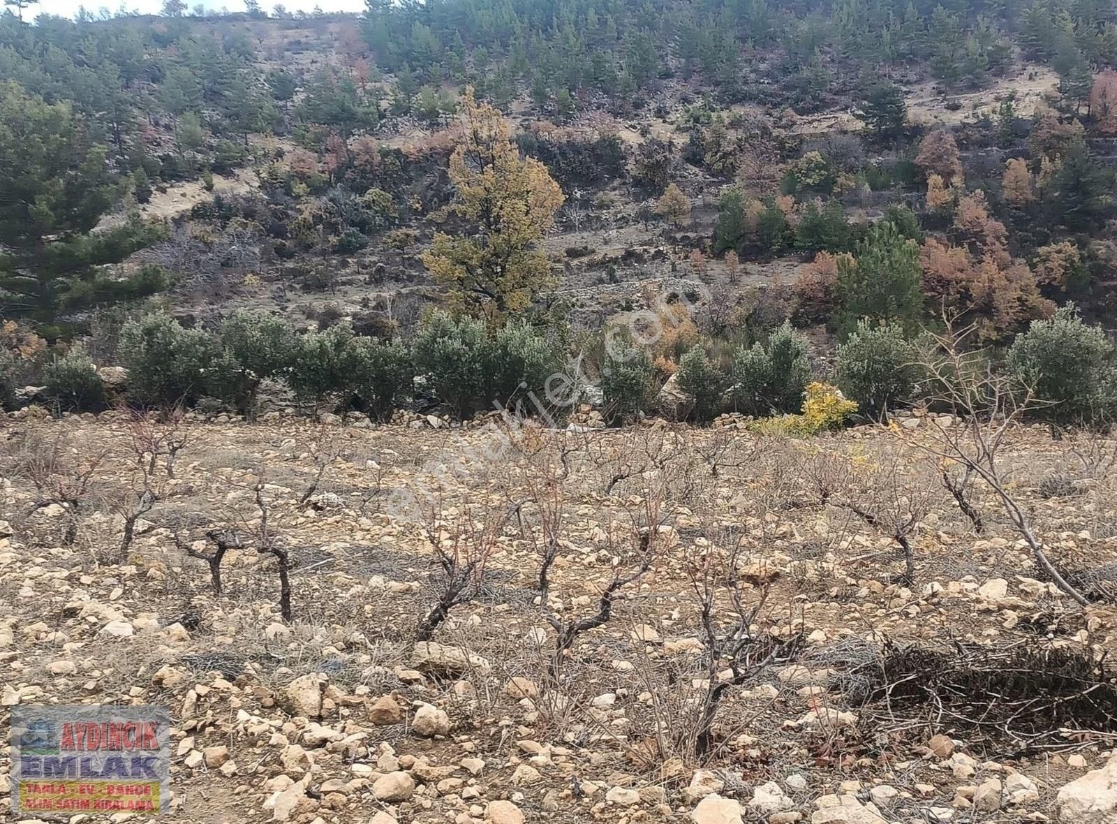 Aydıncık Emlaktan Satılık Bağ Ve Tarla 40.435m2 - Görsel 19