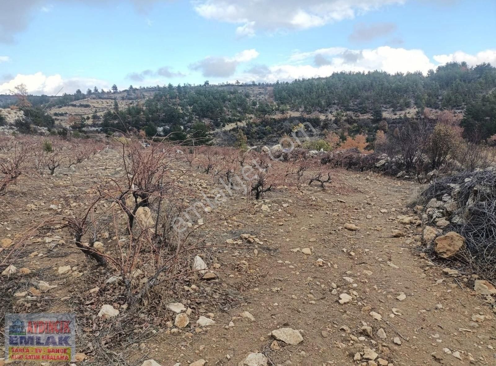 Aydıncık Emlaktan Satılık Bağ Ve Tarla 40.435m2 - Görsel 26