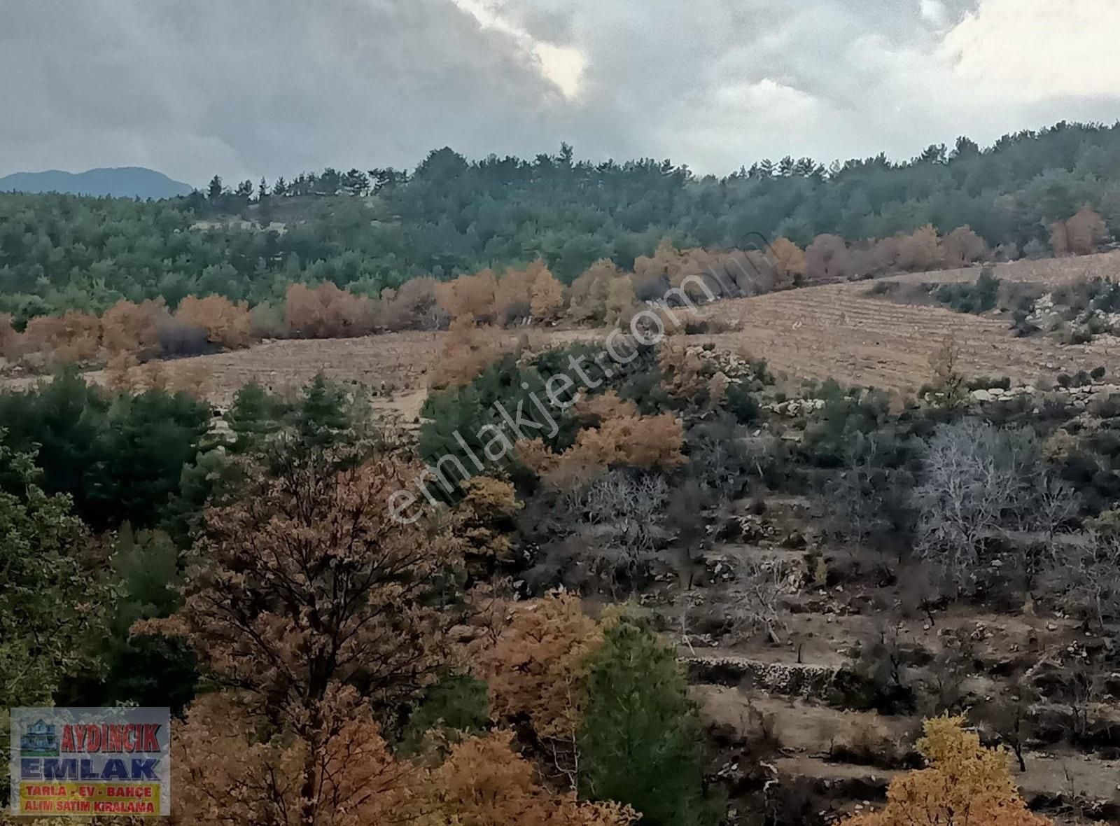 Gülnar Çukurasma Satılık Bağ & Bahçe Aydıncık Emlaktan Satılık Bağ Ve Tarla 40.435m2