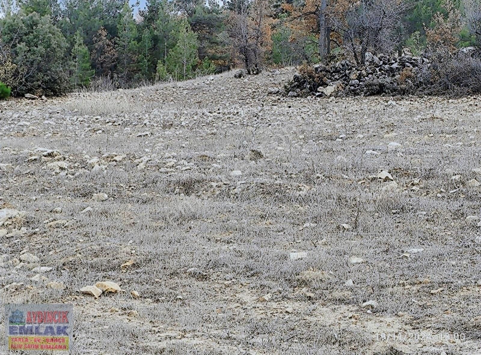 Aydıncık Emlaktan Satılık Bağ Ve Tarla 40.435m2 - Görsel 11