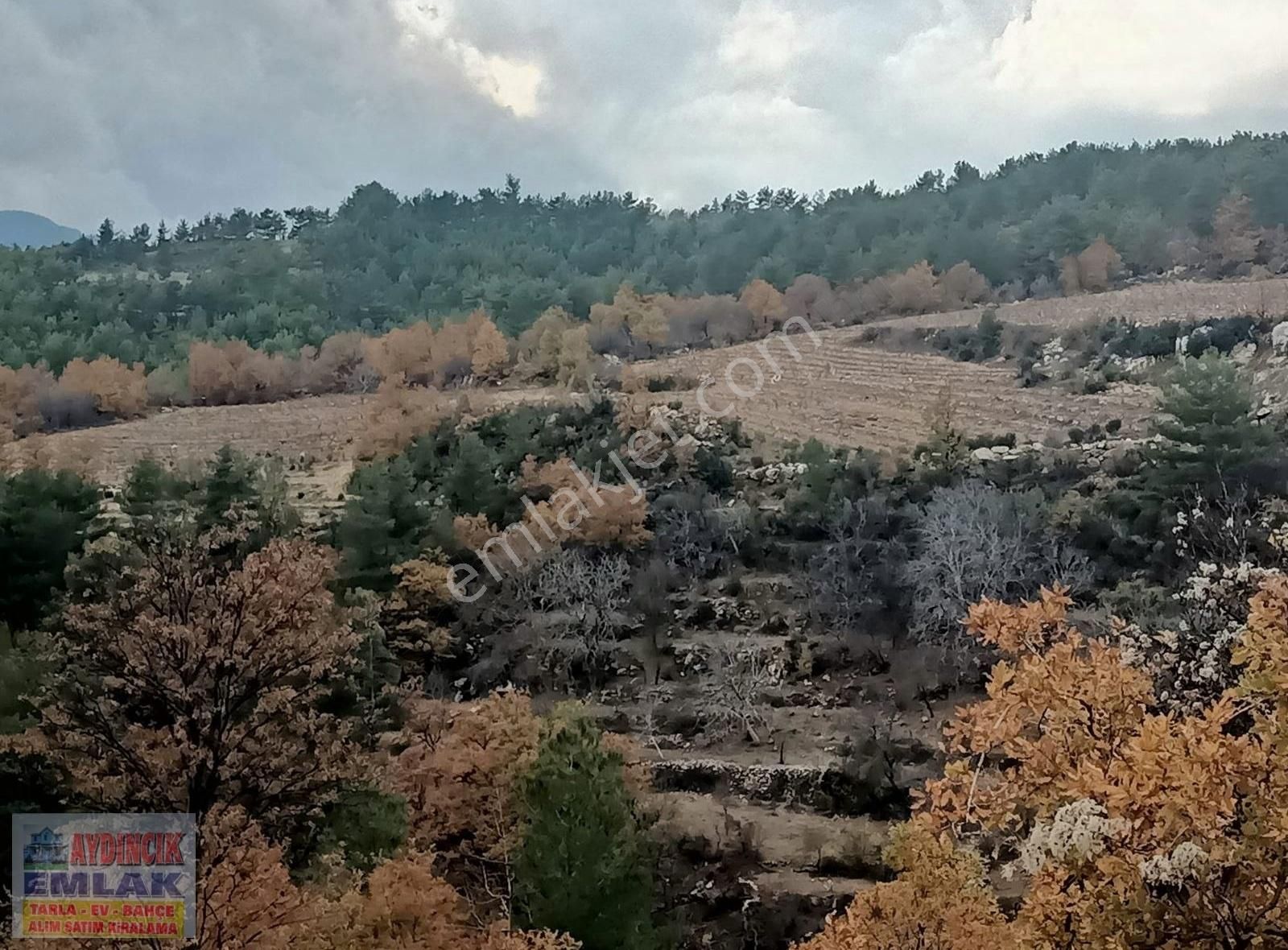 Aydıncık Emlaktan Satılık Bağ Ve Tarla 40.435m2 - Görsel 14
