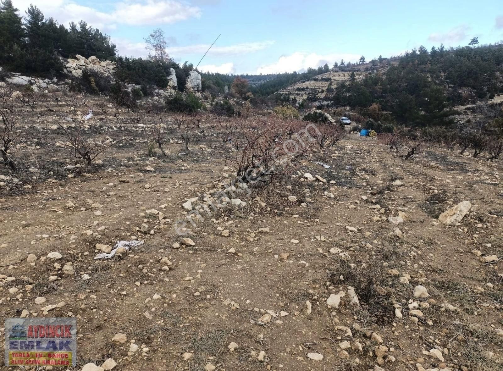 Aydıncık Emlaktan Satılık Bağ Ve Tarla 40.435m2 - Görsel 2