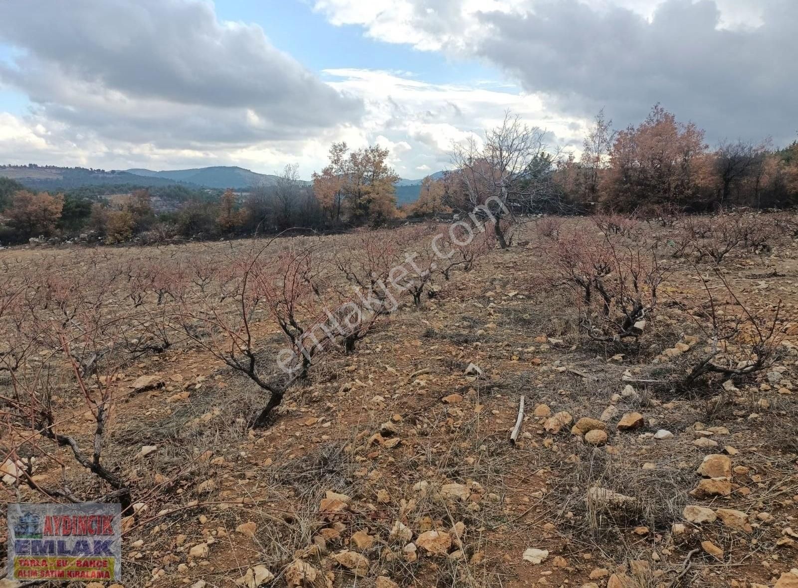 Aydıncık Emlaktan Satılık Bağ Ve Tarla 40.435m2 - Görsel 12