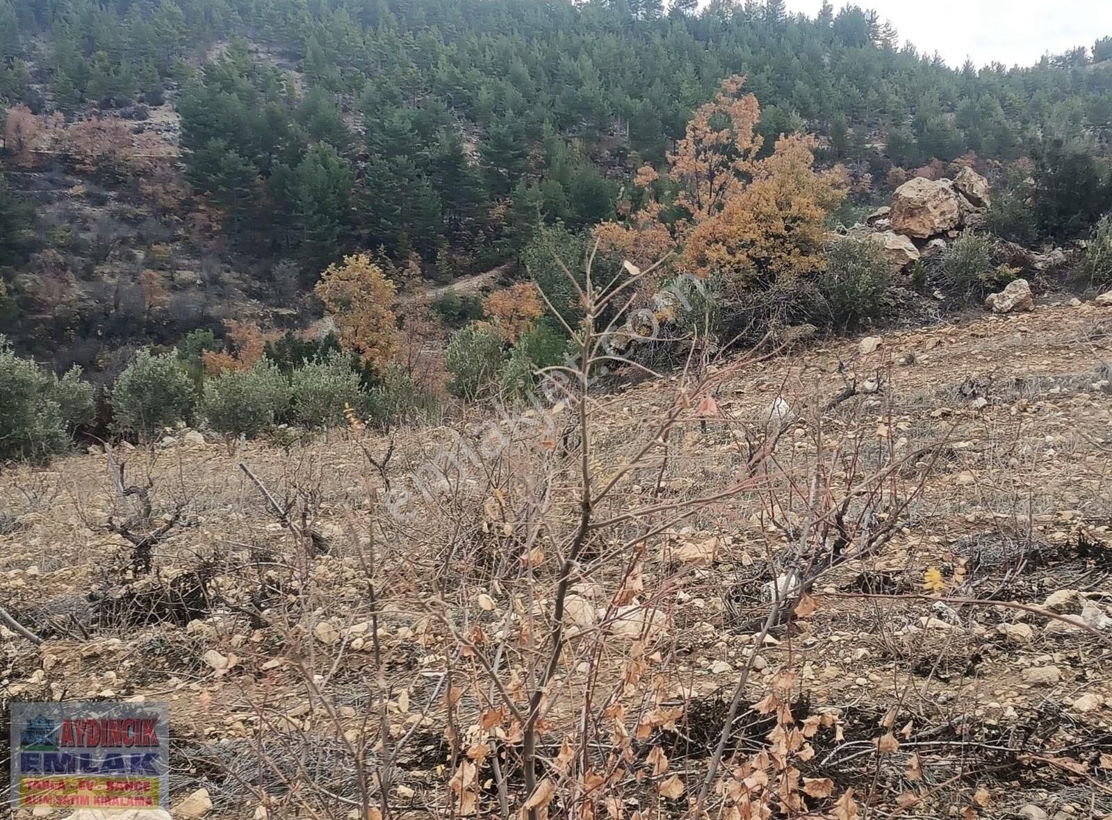Aydıncık Emlaktan Satılık Bağ Ve Tarla 40.435m2 - Görsel 9