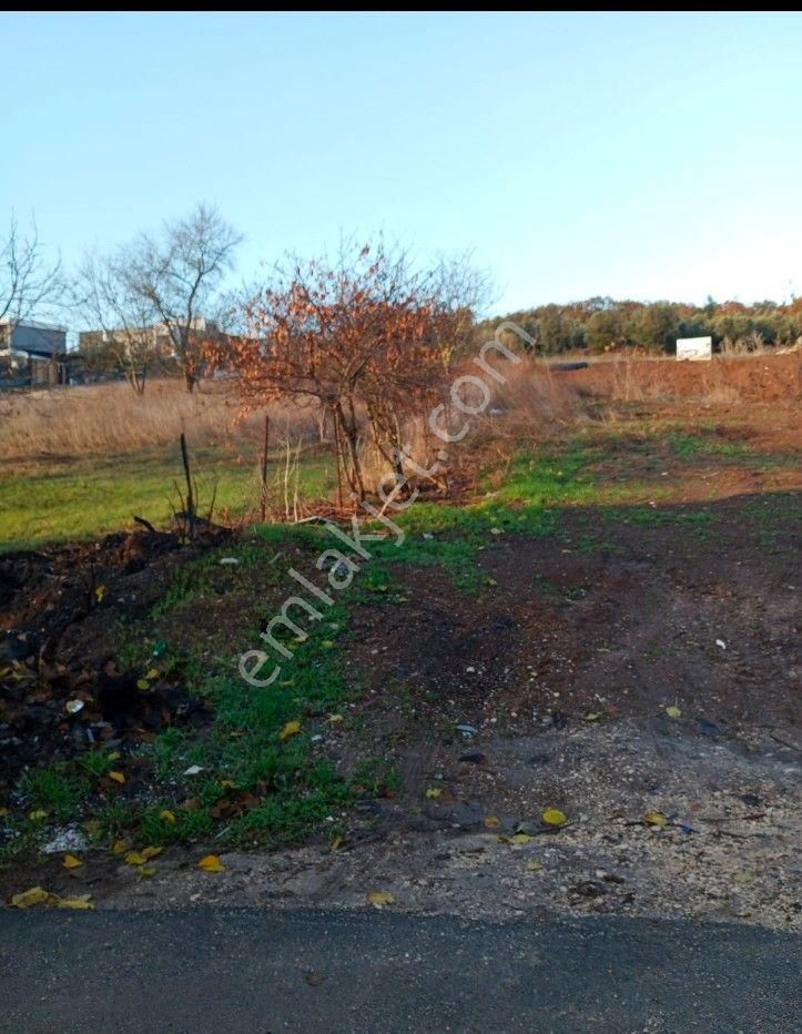 Mudanya Bademli Satılık Villa İmarlı Bursa Bademli De Satılık Villa İmarlı Arsa