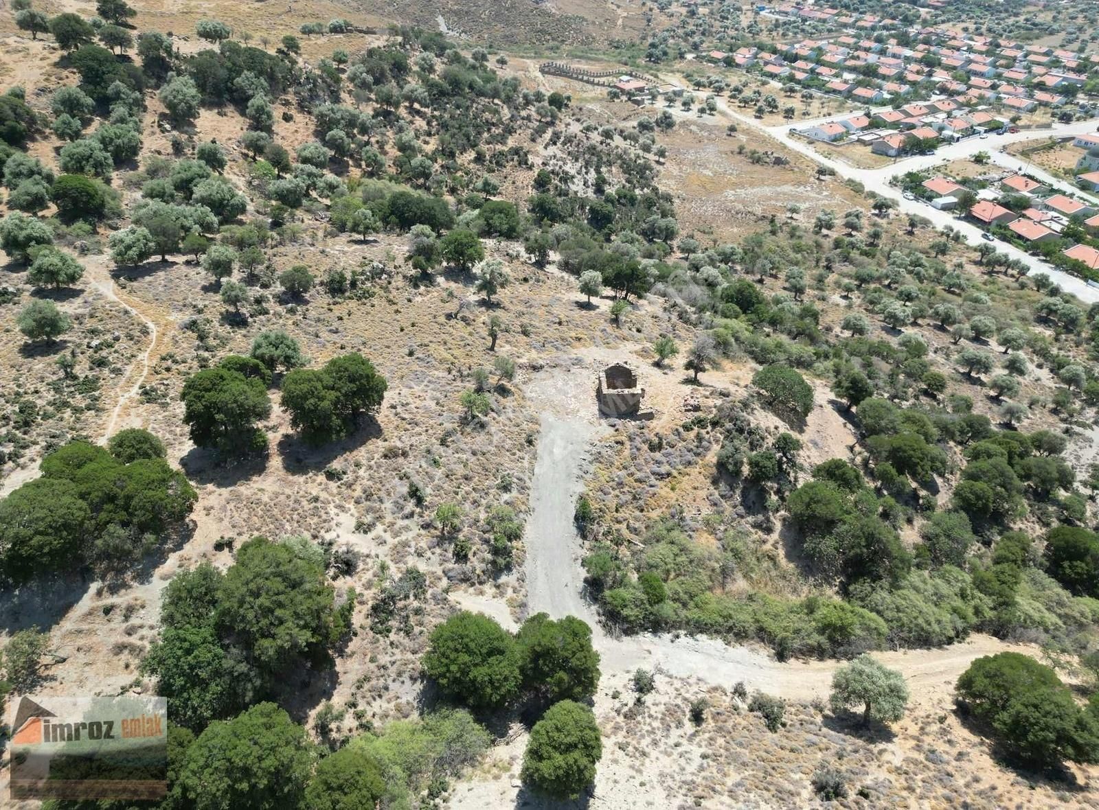 Gökçeada Dereköy Köyü Satılık Zeytinlik İmroz Emlak'tan Şirinköyde Deniz Manzaralı Damlı 8.430 M2 Arazi