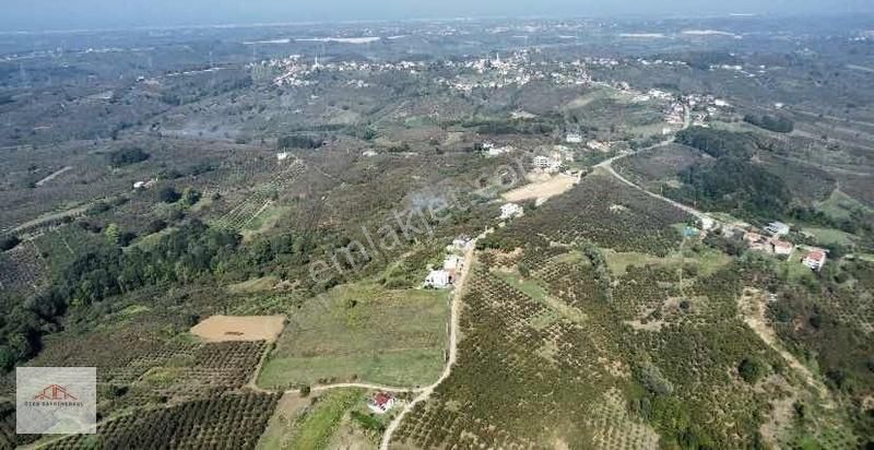 Karasu Resuller Satılık Tarla Sakarya Karasu 'da Satılık Haftanın Fırsat Tarlası