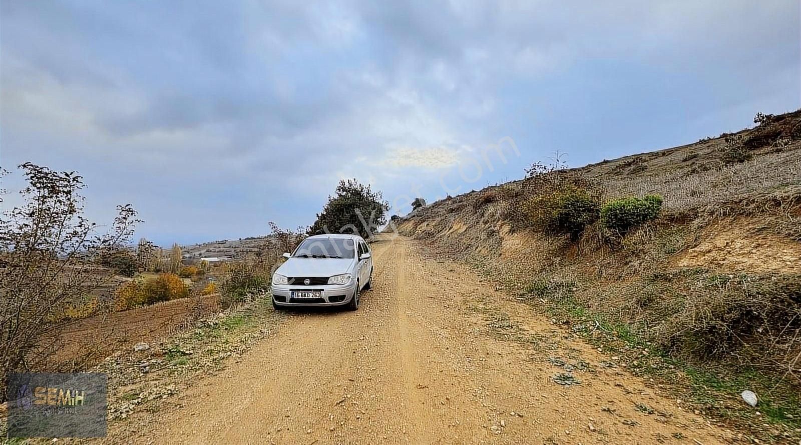 Semih'den Alaylıda Köy Yanı Yolu Suyu Başında Emsalsiz Arazi - Görsel 2