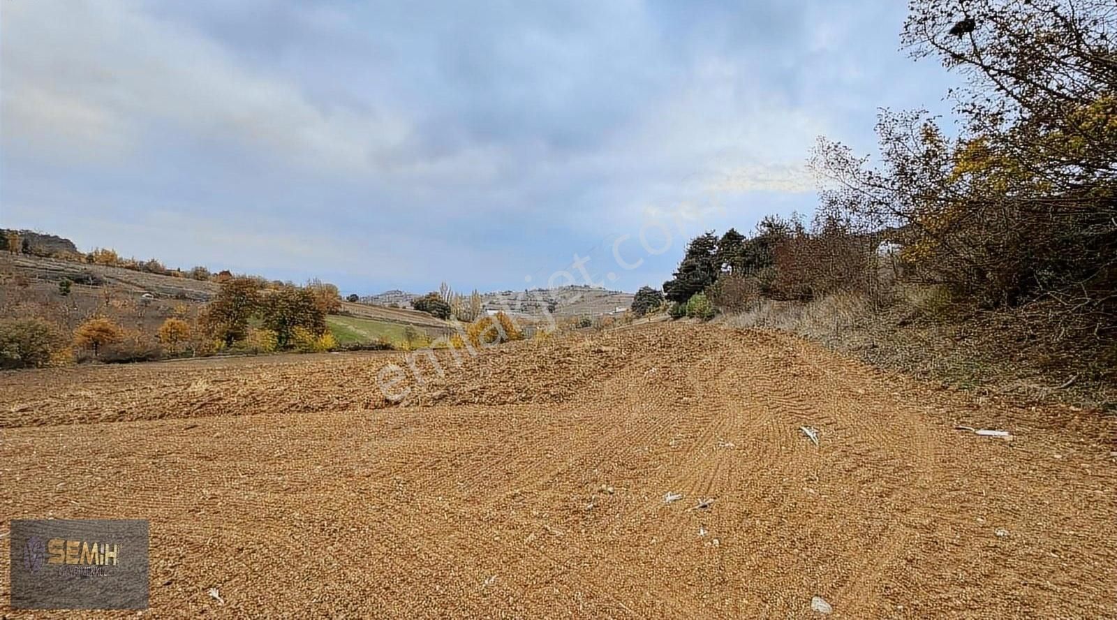 Semih'den Alaylıda Köy Yanı Yolu Suyu Başında Emsalsiz Arazi - Görsel 5