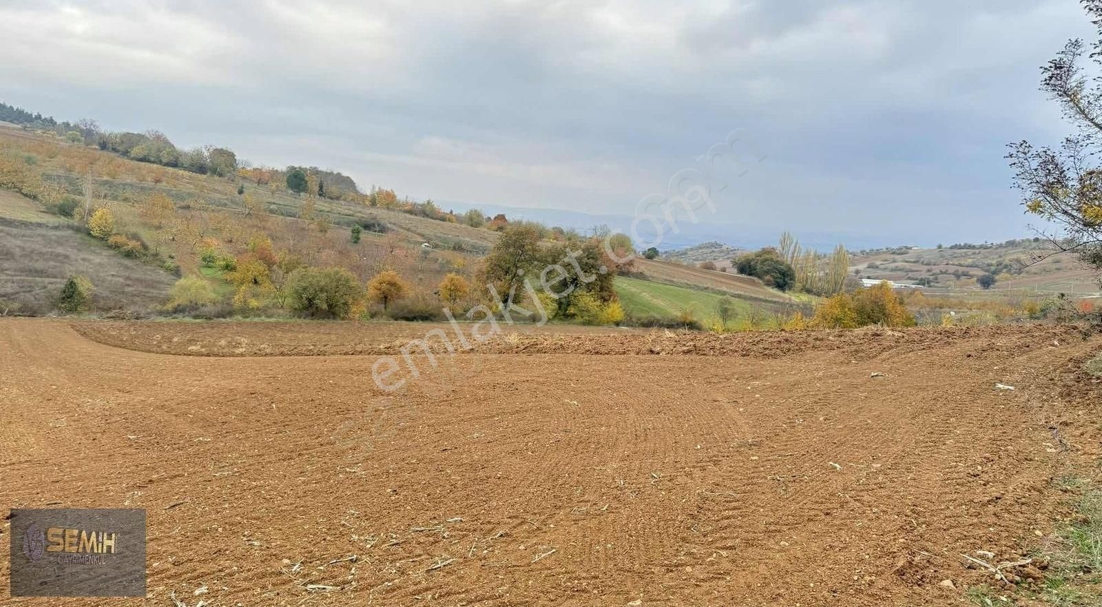 Semih'den Alaylıda Köy Yanı Yolu Suyu Başında Emsalsiz Arazi - Görsel 9