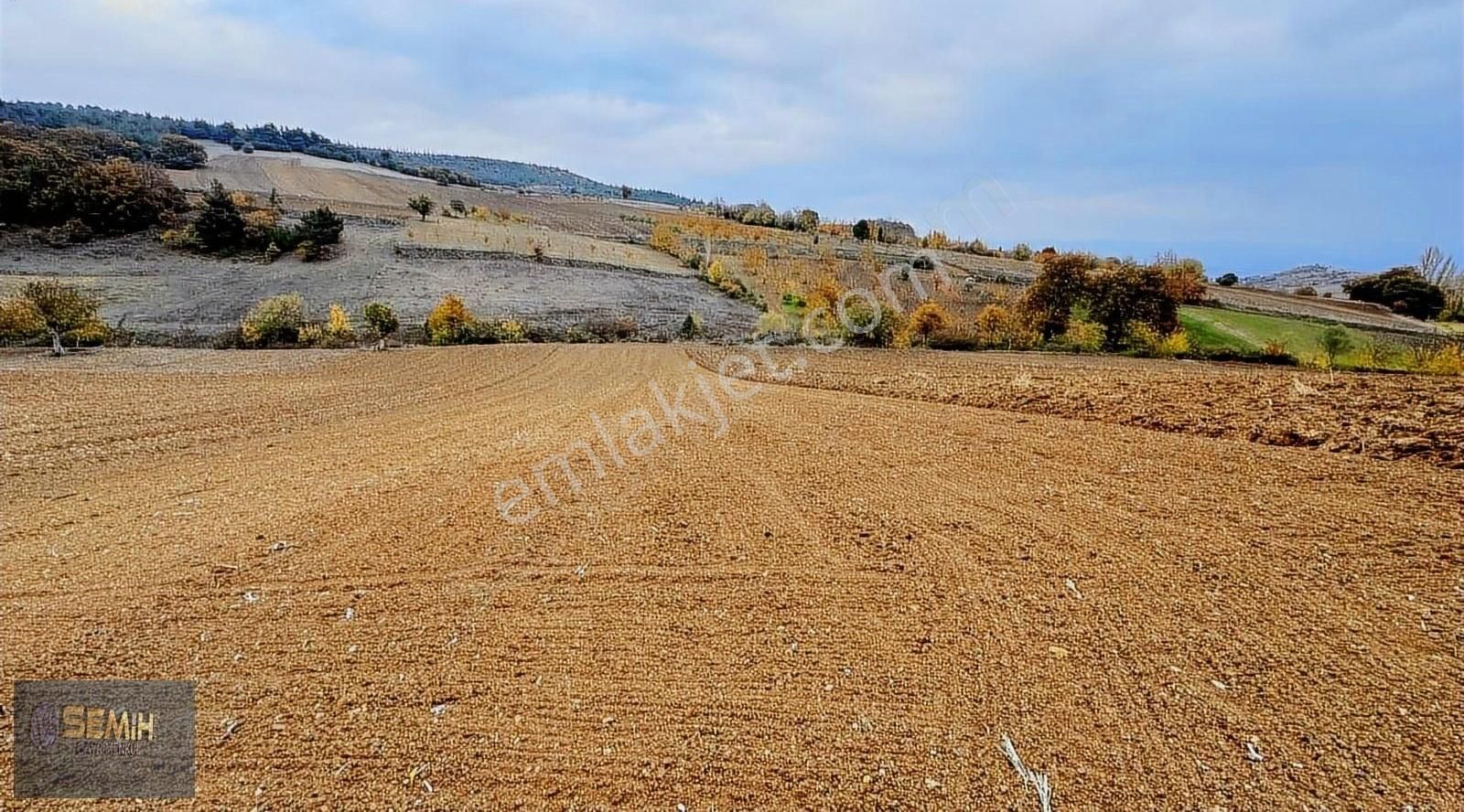 Semih'den Alaylıda Köy Yanı Yolu Suyu Başında Emsalsiz Arazi - Görsel 11
