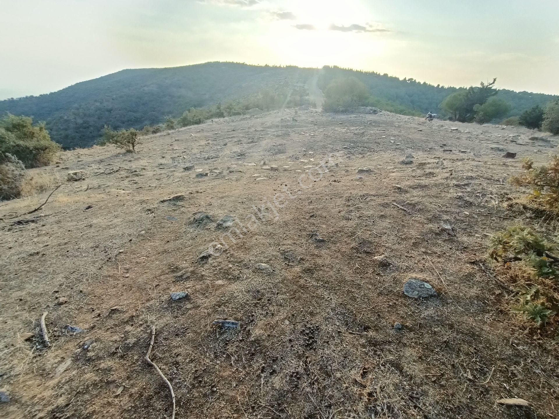 Salihli Kurttutan Satılık Tarla Şehir Ve Doğa Manzaralı Güney Cepheli Verilmli Güzel Tarla 47 Dönüm