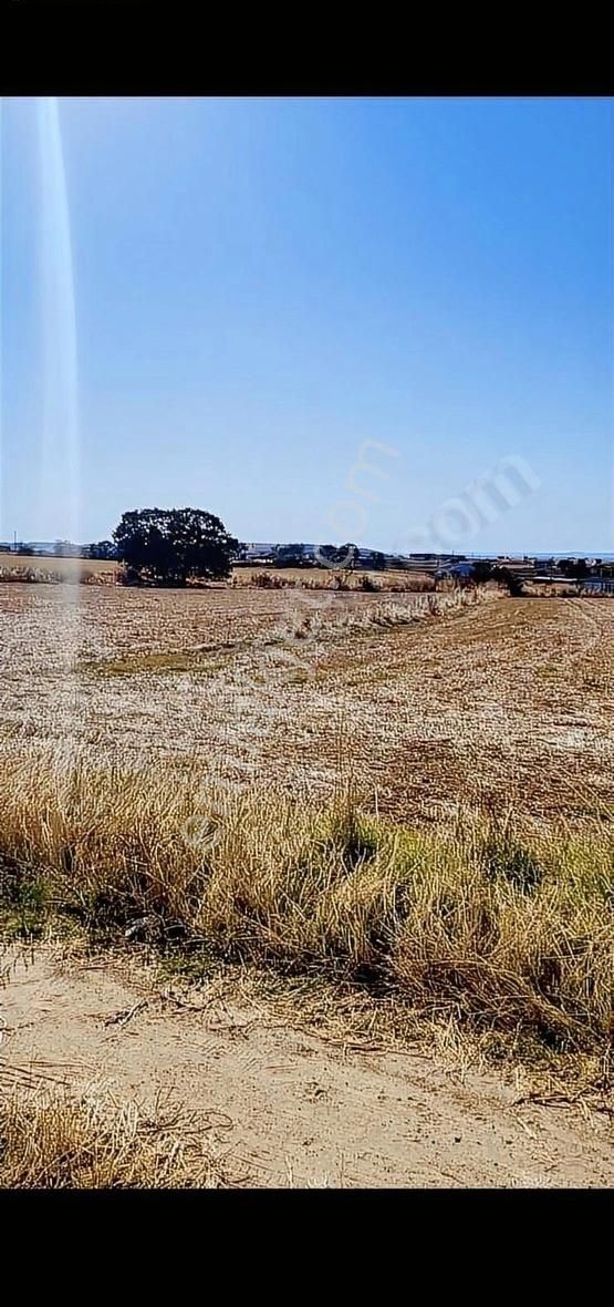 Gelibolu Bolayır Köyü (Gazi Süleyman Paşa) Satılık Konut İmarlı Çanakkale Bolayırda Yerleşim Yerinde Satılık İmarlı Arsa