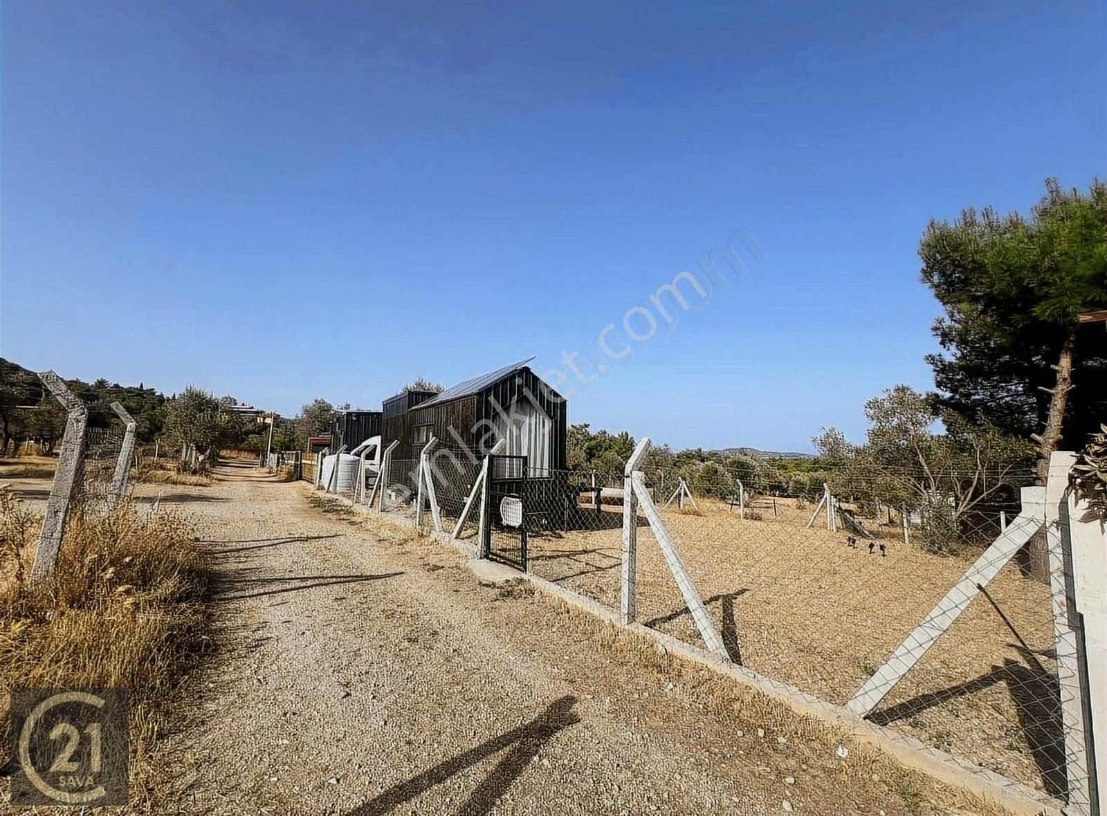 Urla Güvendik Satılık Tarla Urla Güvendik'te Deniz Manzaralı Arsa