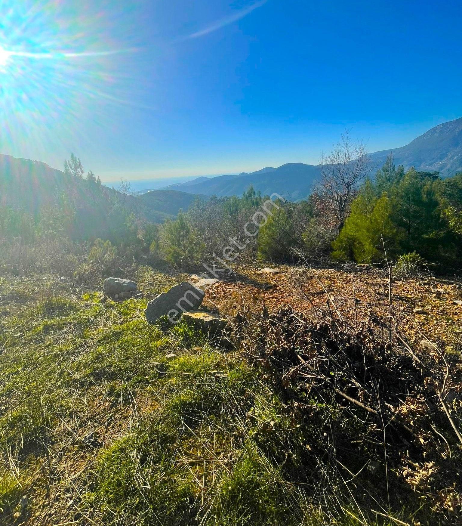 Alanya Çamlıca Satılık Tarla Uygun Fiyata Satılık 1529 M2 Tarla - Alanya Çamlıca Köyü