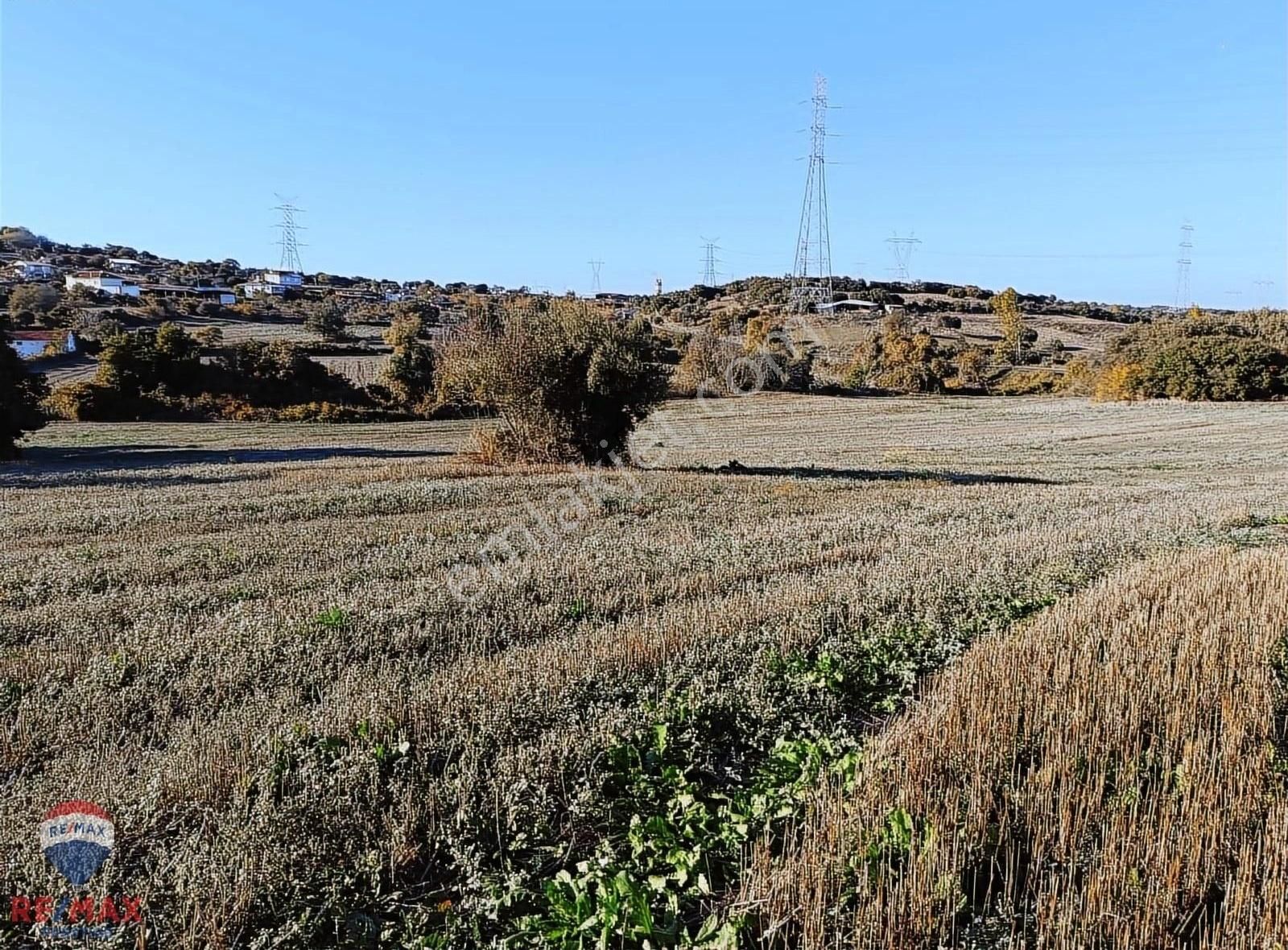 Biga Bekirli Köyü Satılık Tarla Çanakkale Biga Bekirli Köyünde Emsalsiz Tarla Satıştadır