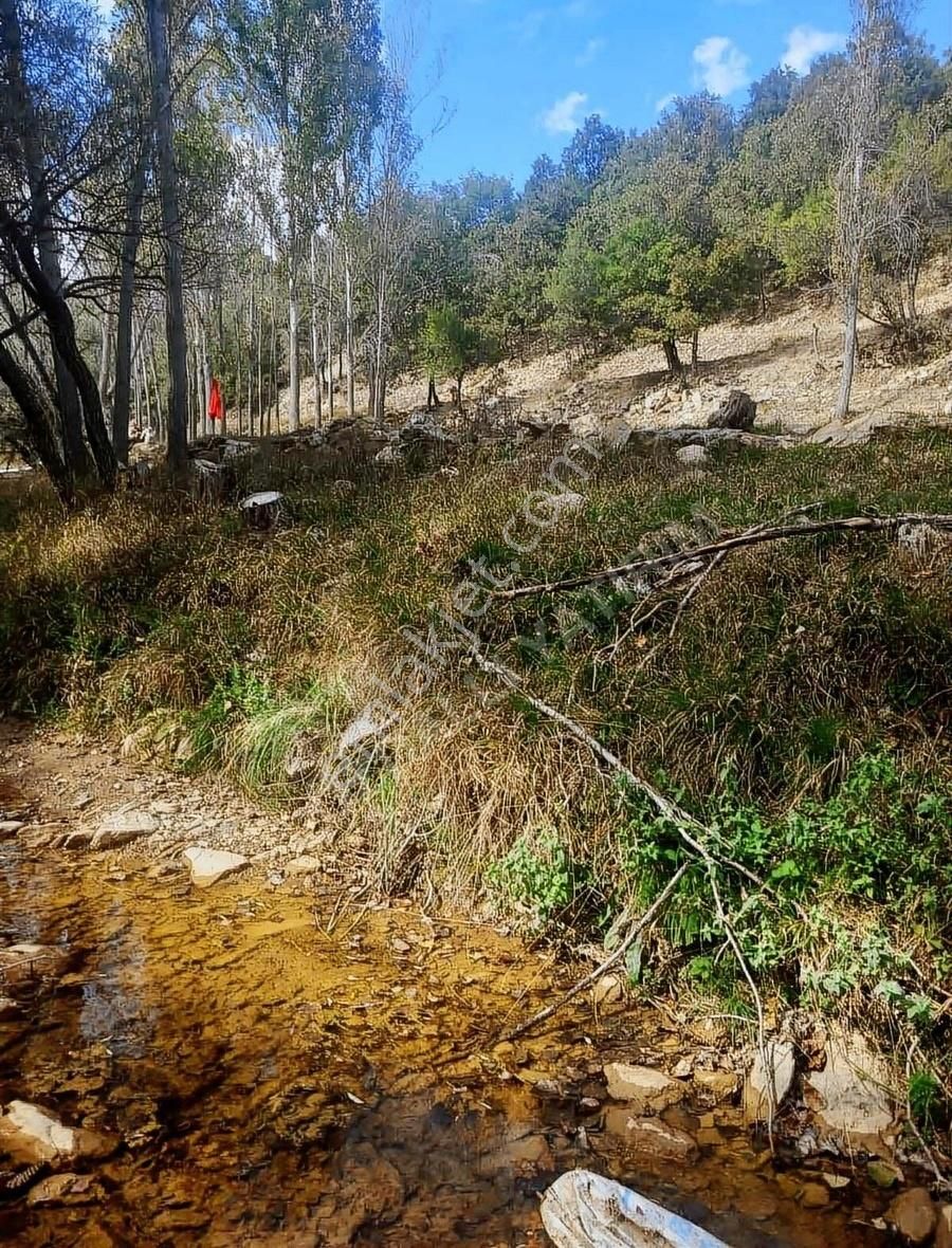 Selçuklu Tepekent Satılık Tarla Özdallı Gayrimenkul'den Tepekent Anayol Üzeri Dere Kenarı Arsa