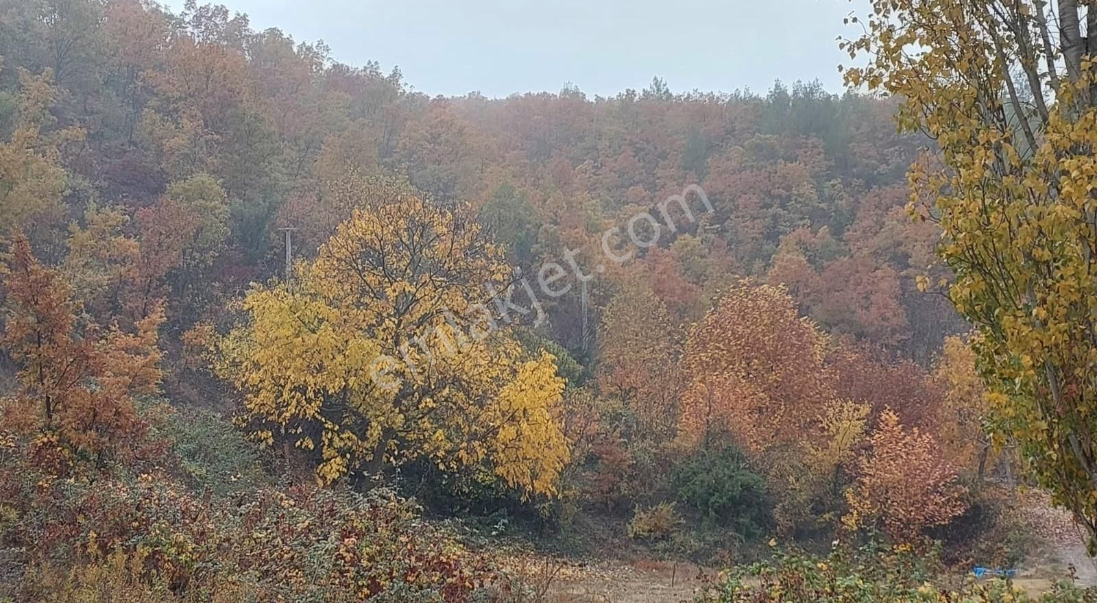 Buldan Çaybaşı Satılık Tarla Buldan Çaybaşı'nda Satılık Arsa (görülmeye Değer)